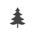 Forestry Schools Forestry Schools