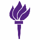 New York University New York University