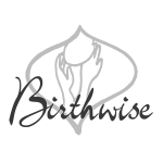 Birthwise Midwifery School Logo Birthwise Midwifery School Logo