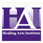 Orion Institute Logo Orion Institute Logo
