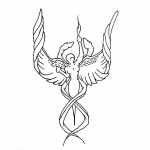 Medical Allied Career Center Logo Medical Allied Career Center Logo