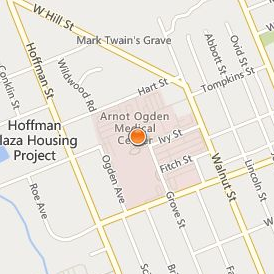 Arnot Ogden Medical Center Location Map - Street View